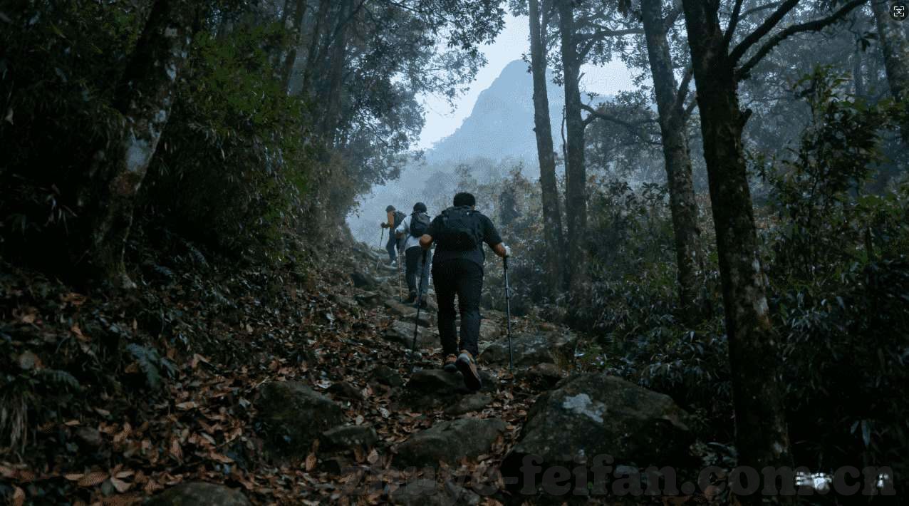 世界杯投注平台关闭-世界杯投注平台关闭背后的原因与影响